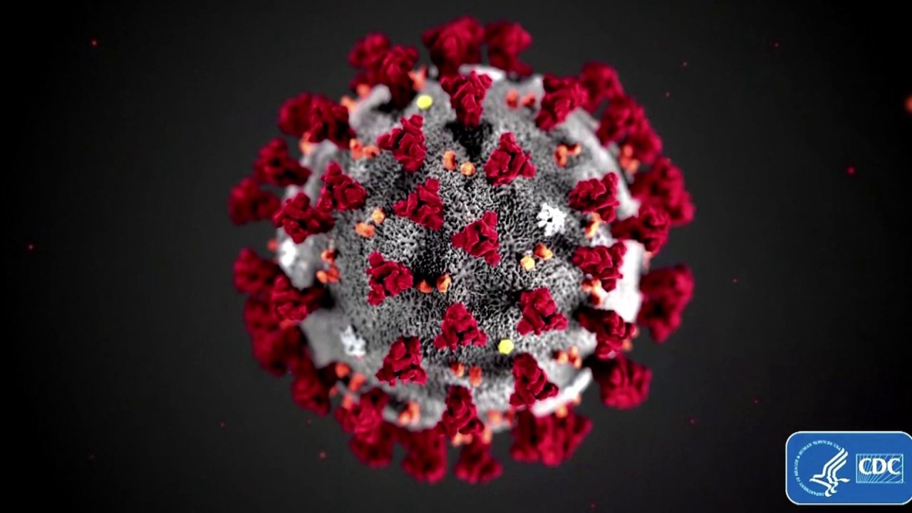 Read more about the article How long does the coronavirus live on a surface?